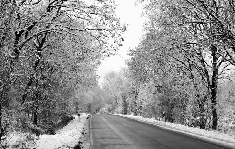Freie, geräumte Straße durch verschneite Winterlandschaft